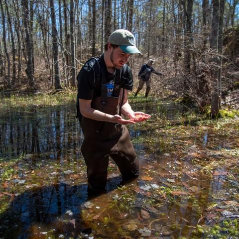 Alex Woodworth Vernal Pools